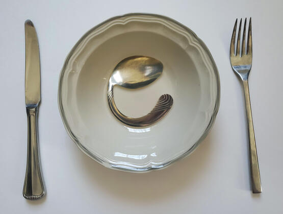 bowl with curled up spoon insided placed between a butterknife and a fork