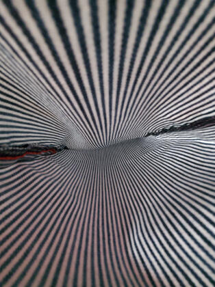 close up of the inside of pants with horizontal pattern